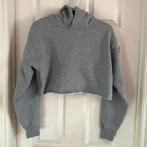 Cropped TNA hoodie